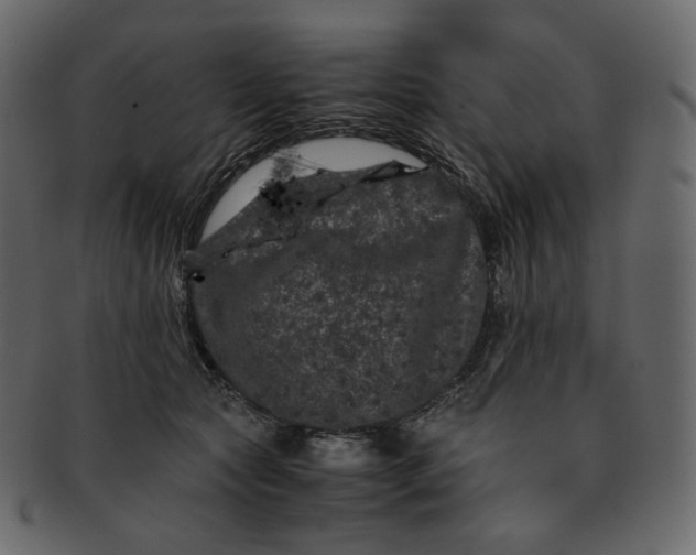 X0000092290561200710051204