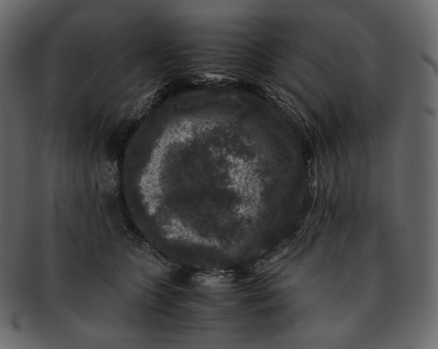 X0000092290563200710051204