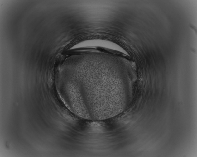 X0000092290566200710051204