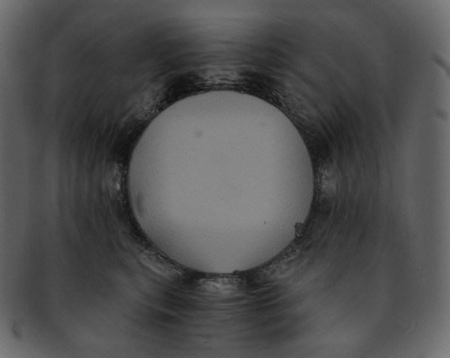 X0000092290567200710051204