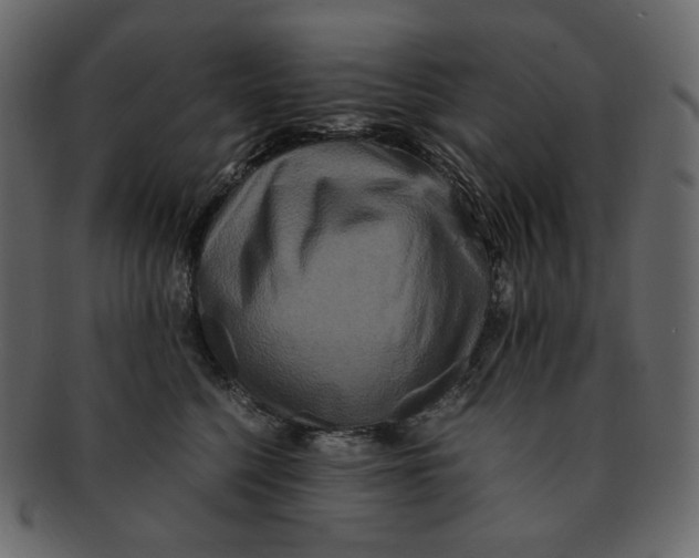 X0000092290568200710051204