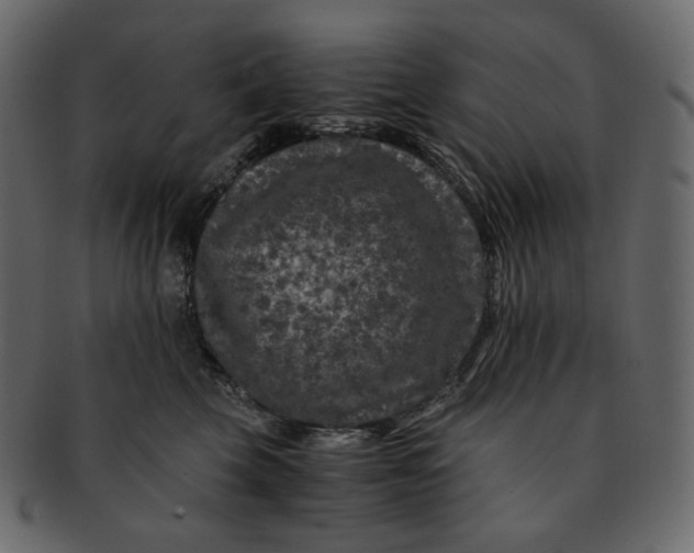 X0000092290569200710051204