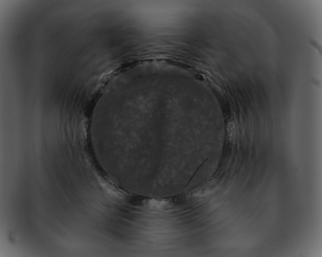 X0000092290570200710051204