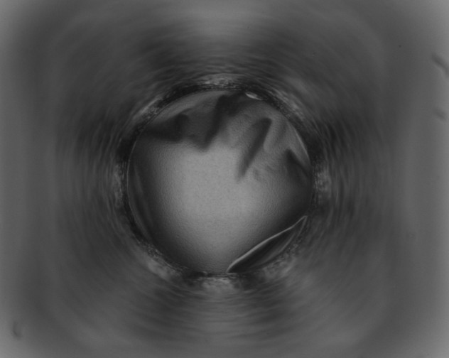 X0000092290572200710051204