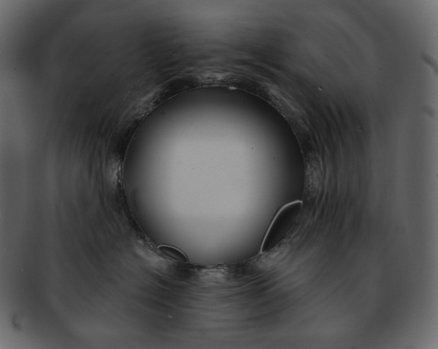 X0000092290574200710051204