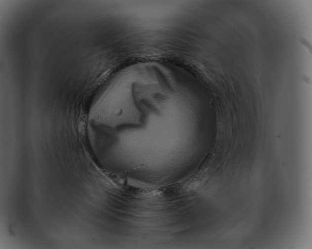 X0000092290576200710051204