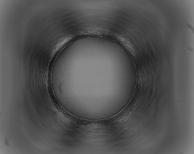 X0000092290578200710051203