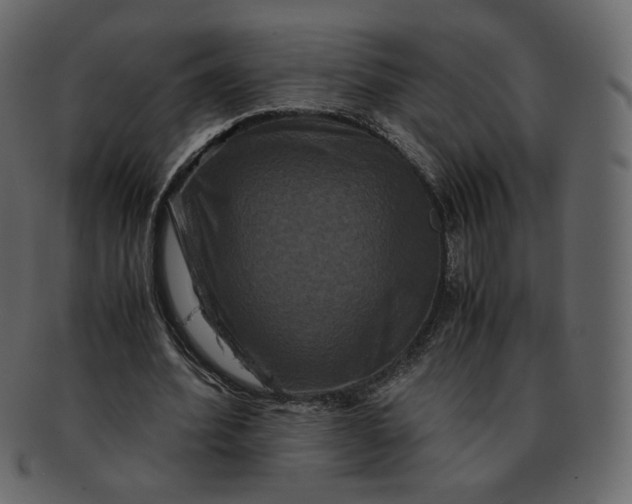 X0000092290580200710051203