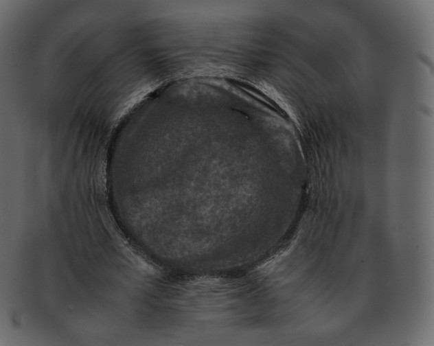 X0000092290581200710051203