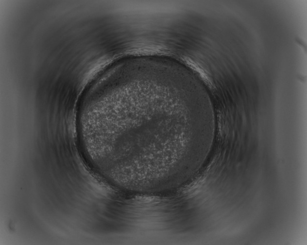 X0000092290582200710051203