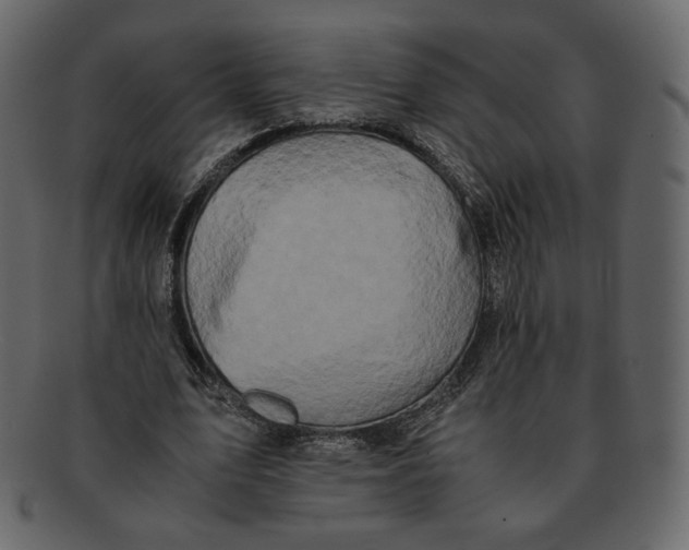 X0000092290583200710051203