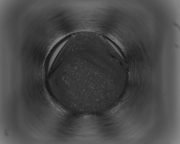 X0000092290584200710051203