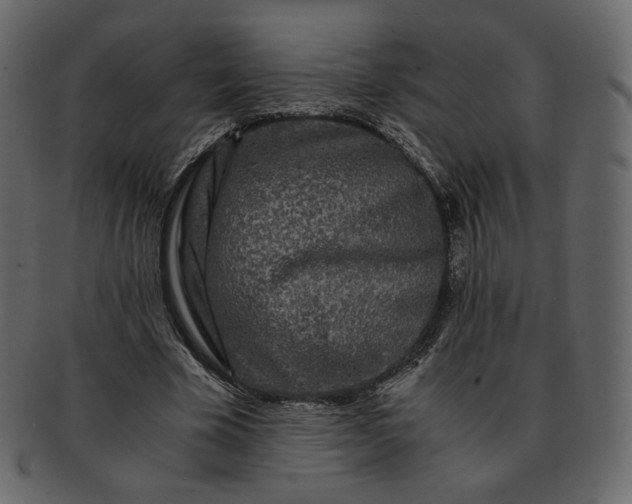 X0000092290585200710051203