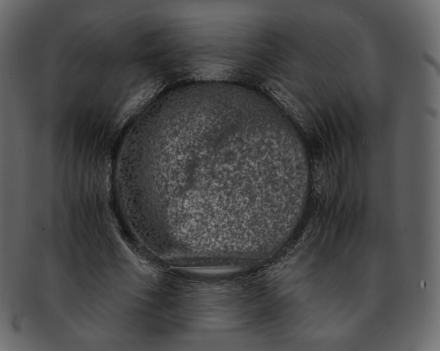 X0000092290586200710051203