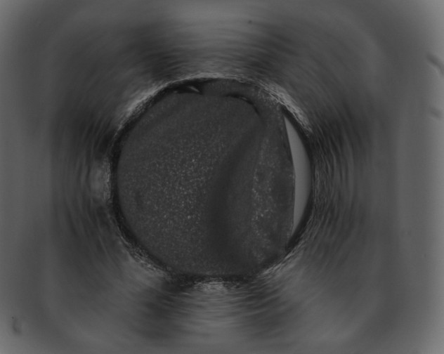 X0000092290588200710051203