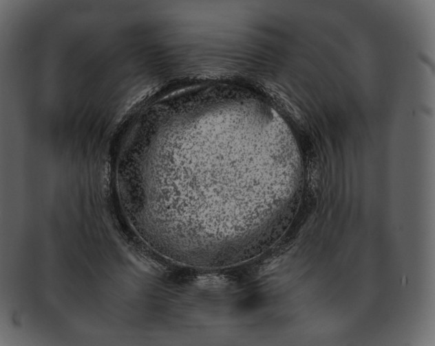 X0000092290591200710051203