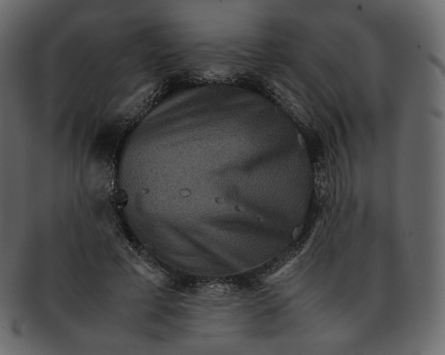 X0000092290593200710051203