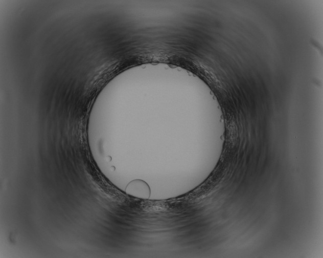 X0000092290594200710051203