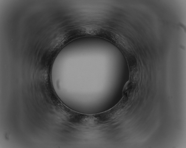 X0000092290595200710051203