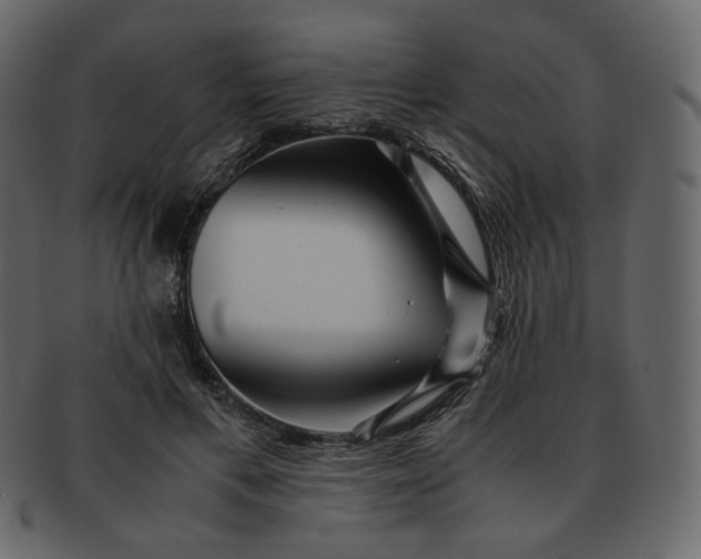 X0000092290597200710051203