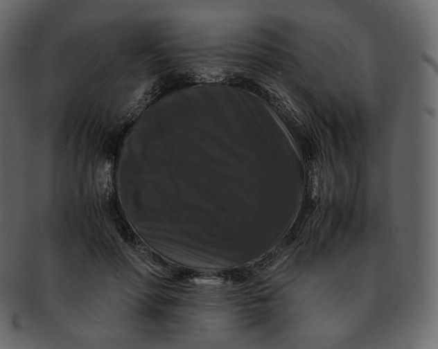 X0000092290598200710051203