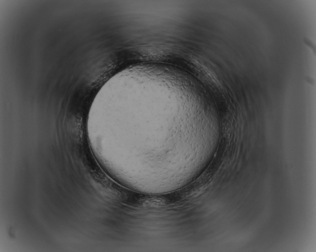 X0000092290599200710051203