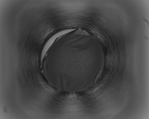 X0000092290600200710051203