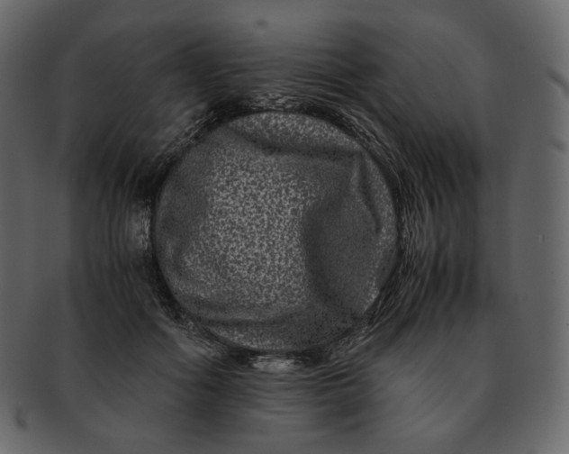 X0000092290602200710051203