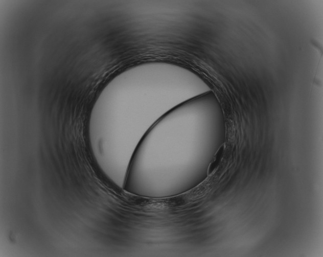 X0000092290604200710051203