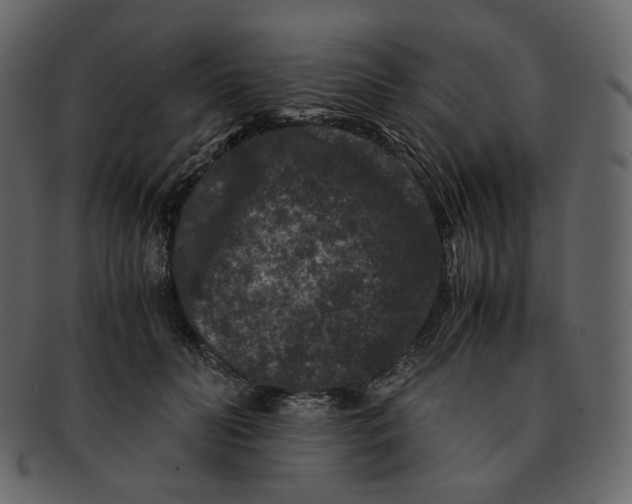 X0000092290606200710051203