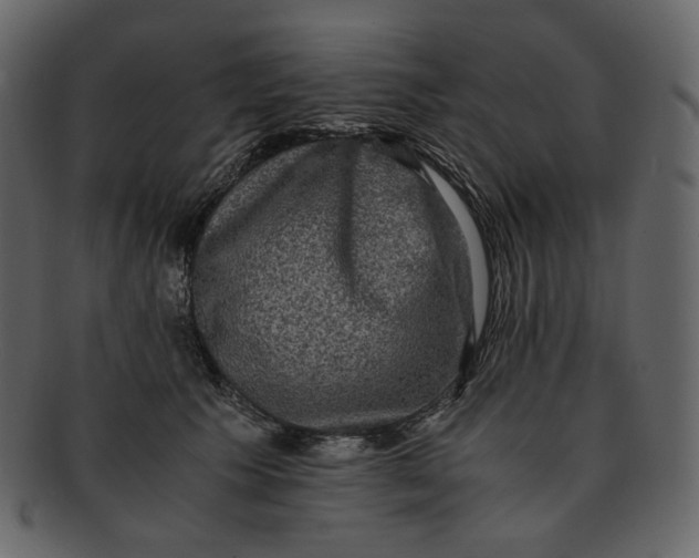 X0000092290609200710051203