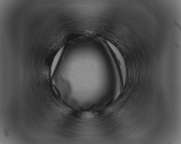 X0000092290613200710051203