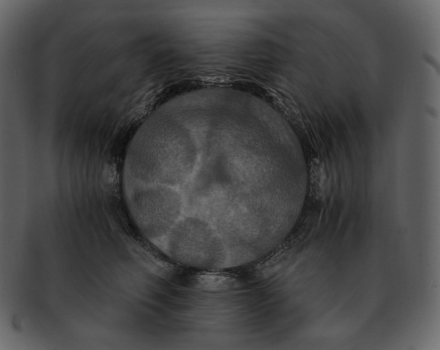 X0000092290614200710051203