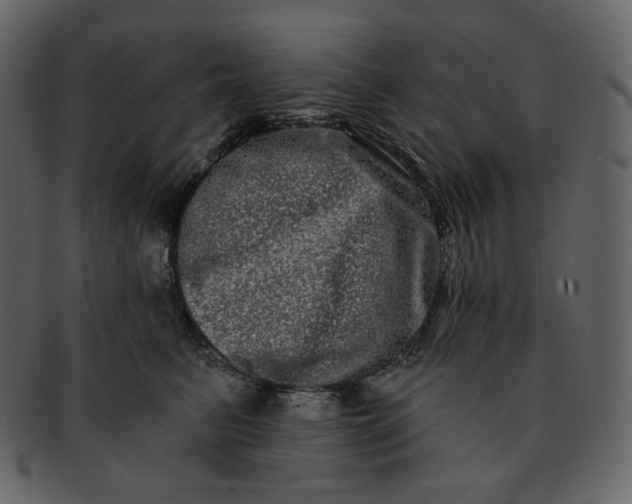 X0000092290615200710051203