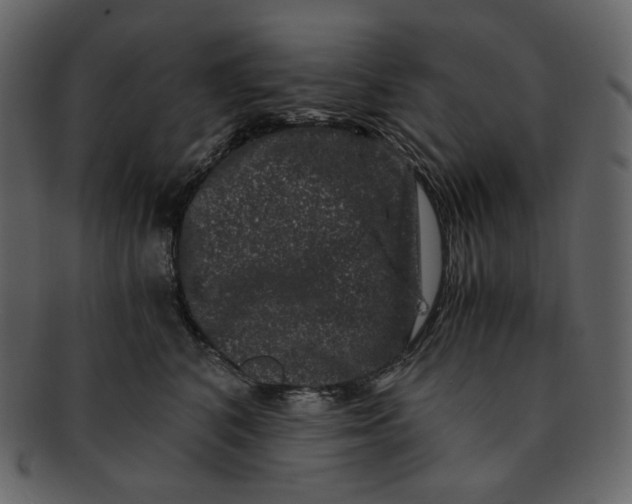 X0000092290616200710051203