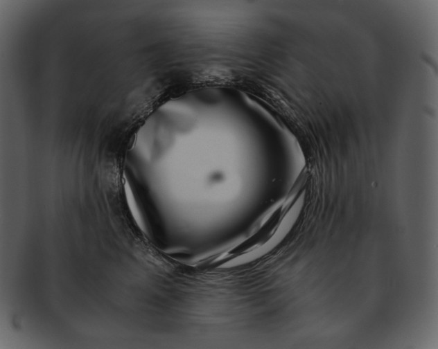 X0000092290617200710051203