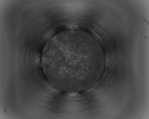 X0000092290618200710051203