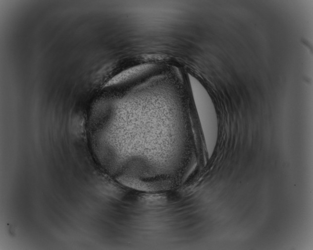 X0000092290619200710051203