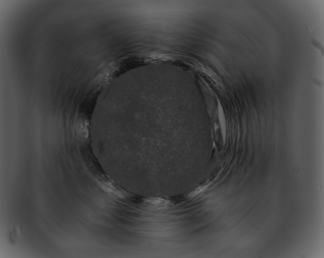 X0000092290621200710051203