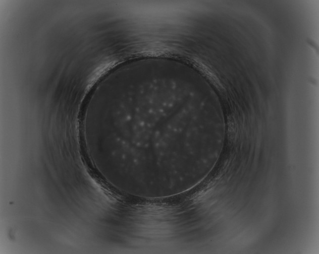 X0000092290626200710051202