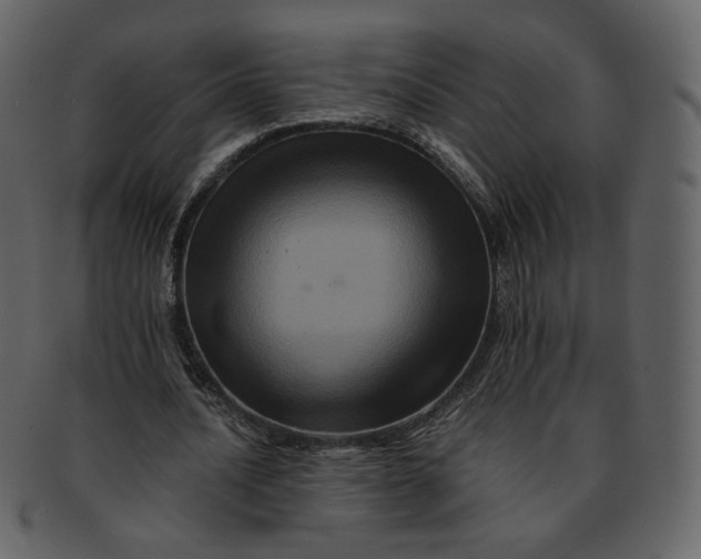 X0000092290628200710051202