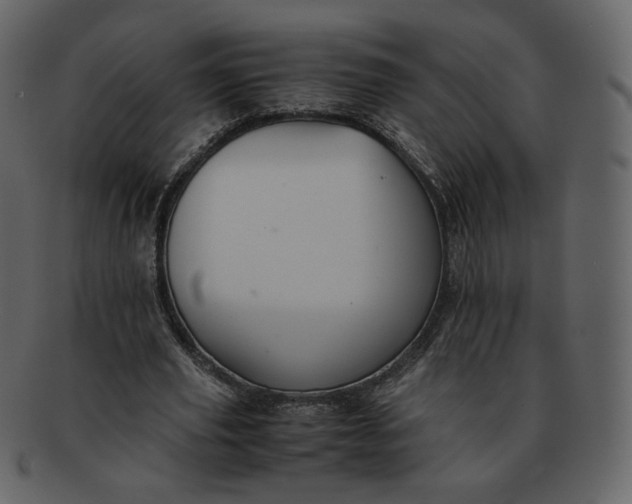 X0000092290629200710051202