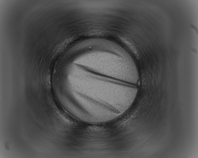 X0000092290633200710051202