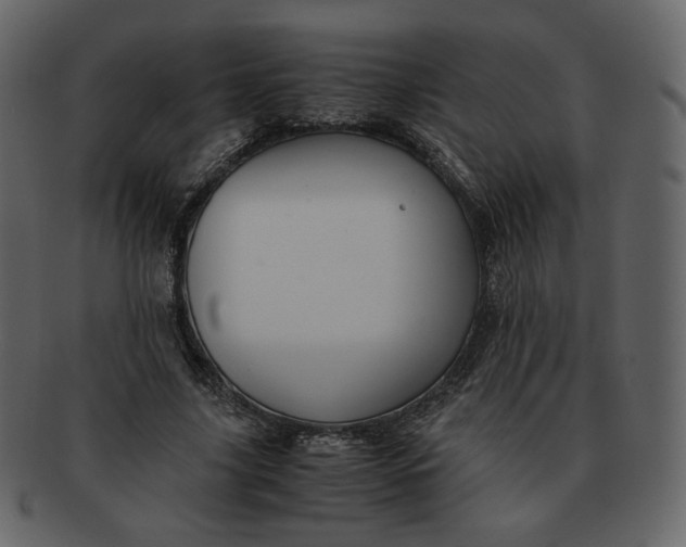 X0000092290635200710051202