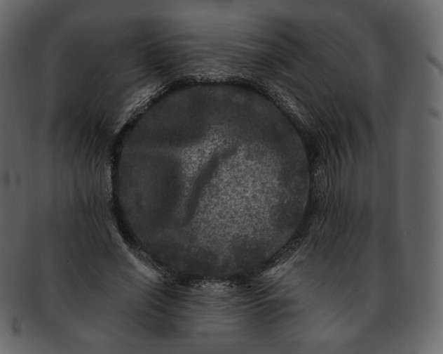 X0000092290638200710051202