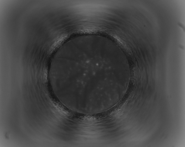 X0000092290640200710051202