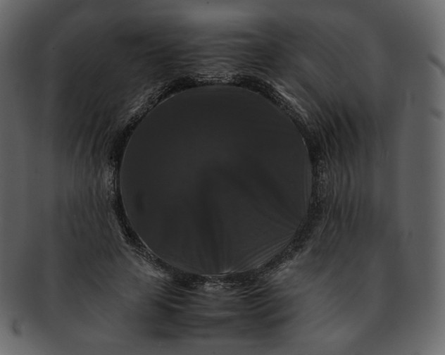 X0000092290641200710051202