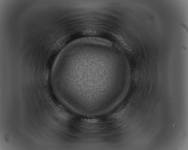 X0000092290645200710051202