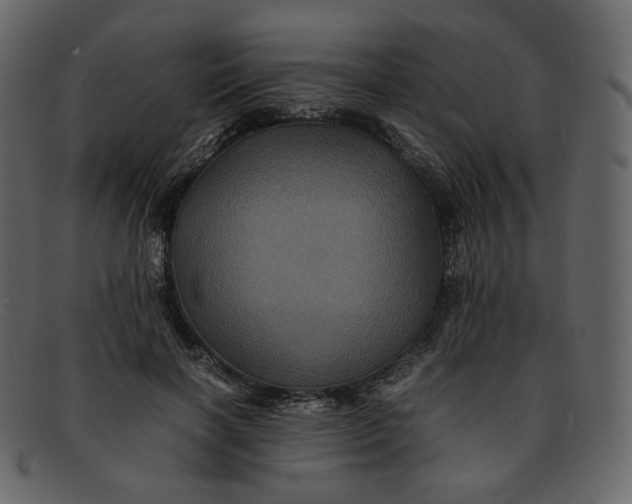 X0000092290646200710051202