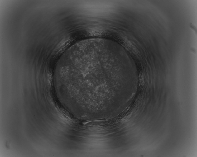 X0000092290648200710051202